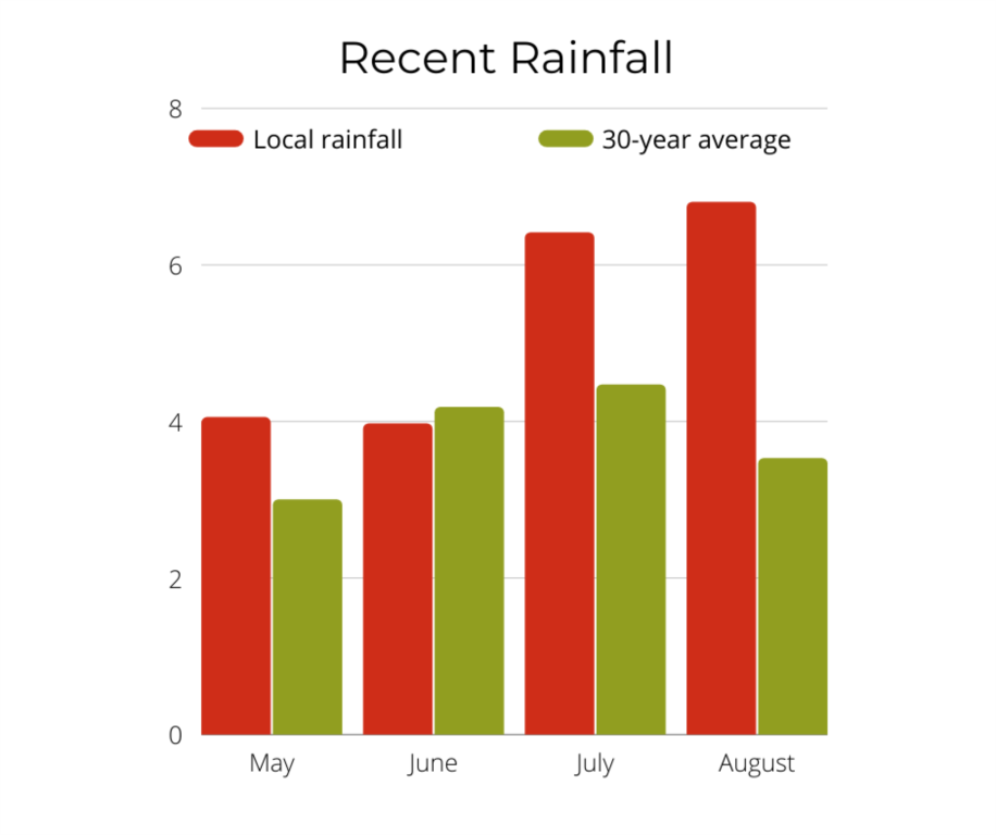 Recent Rainfal